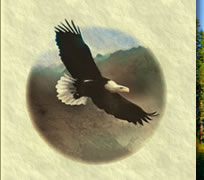 Alan Strachan Logo of Eagle flying